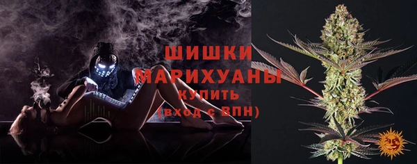 амф Аркадак