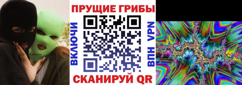 купить наркоту  Орлов  Галлюциногенные грибы MAGIC MUSHROOMS 